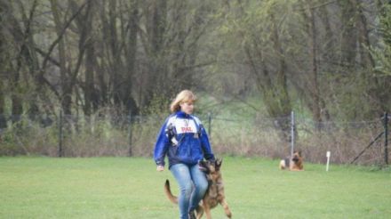 SV OG Untersiemau-Weißenbrunn e.V.