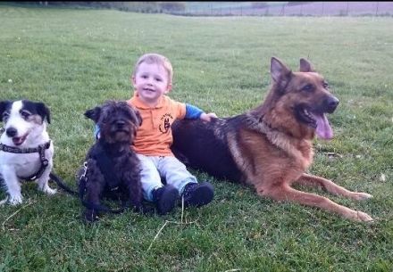 SV OG Untersiemau-Weißenbrunn e.V.