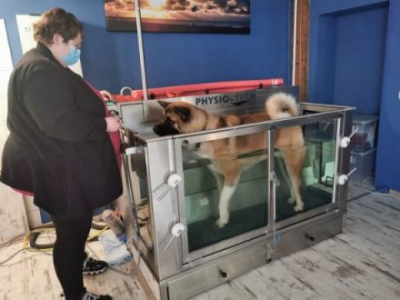 Schnauze, Fell und Pfoten