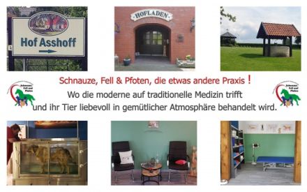 Schnauze, Fell und Pfoten