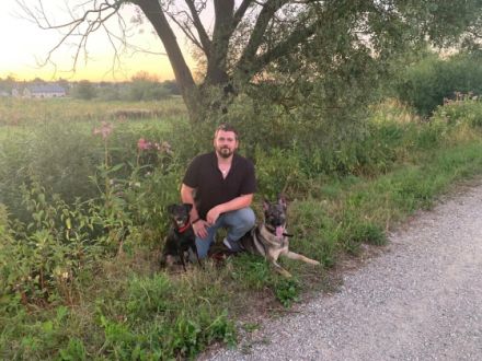 Die mobile Hundeschule