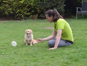 Hundetrouble im alten Land