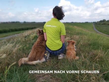 Hundetrouble im alten Land