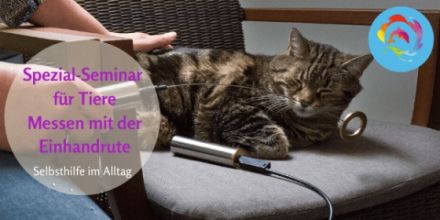 Online Messen mit der Einhandrute Spezial-Seminar für Tiere