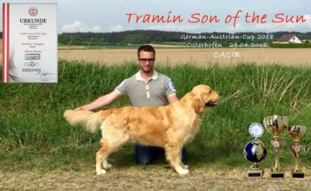Tramin Son of the Sun