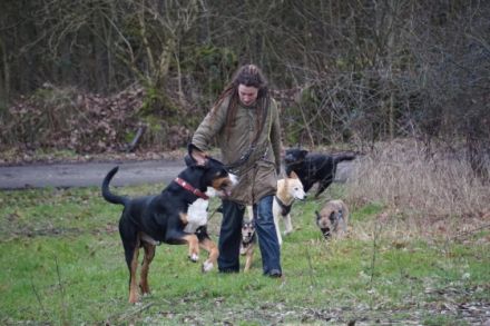 Allround Animal Care