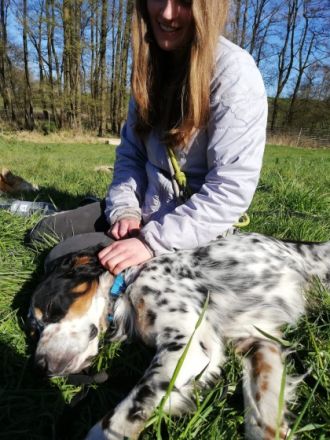 Allround Animal Care