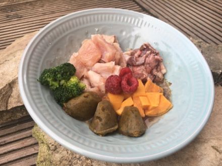 Tiertherapie Dresden - mobile Hundephysiotherapie & Tierheilpraxis