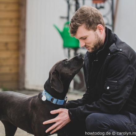 HOW TO DOG - Coaching für Dich und Deinen Hund
