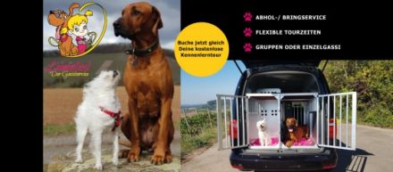 Leinenliesl Der Gassiservice