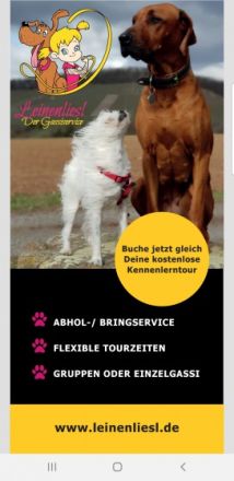 Leinenliesl Der Gassiservice