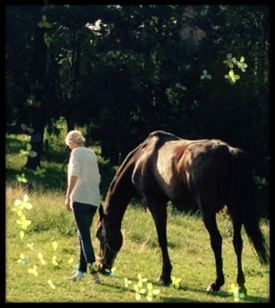 MyPetsdoc Naturheilkunde für Tiere