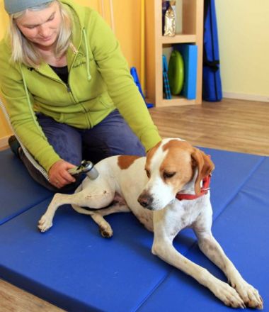 HundePhysiotherapie Carola Peters