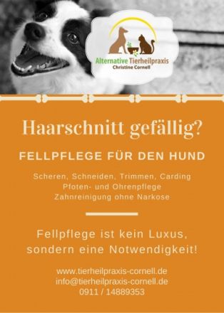 Alternative Tierheilpraxis Christine Cornell