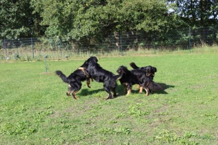 von den Keilbergwiesen