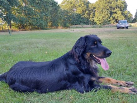 von den Keilbergwiesen