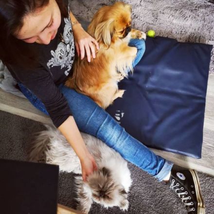 Tierheilpraxis & Physiotherapie Jaimie Lee Rüttgen