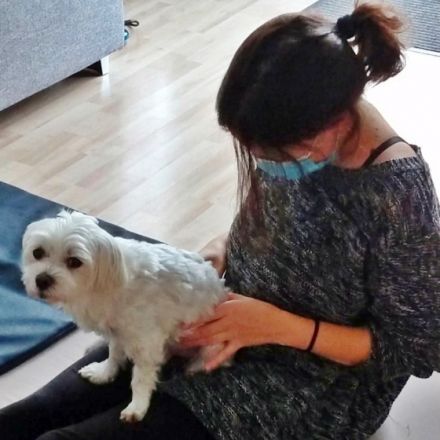 Tierheilpraxis & Physiotherapie Jaimie Lee Rüttgen