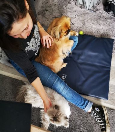 Tierphysiotherapie & Tierheilpraxis Jaimie Lee Rüttgen