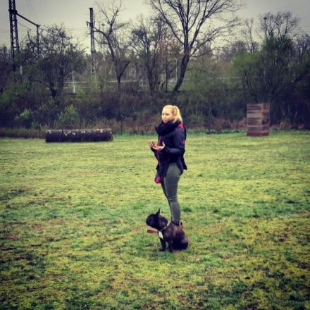 Let's Dog it! - Frankfurt mobile Hundeschule