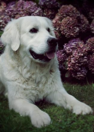 Pep vom Hillersbachtal