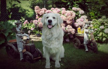 Pep vom Hillersbachtal