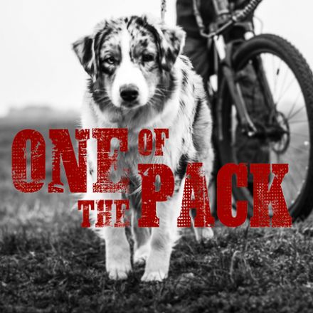 One Of The Pack