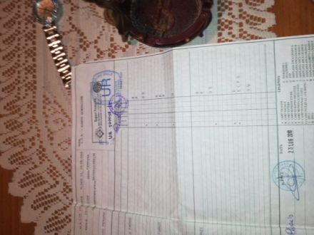 Lagotto Romagnolo Züchter