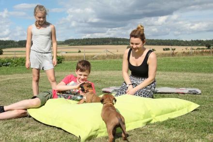 RHODESIAN RIDGEBACK REINRASSIGE WELPEN - Wurfplanung für Anfang 2026 ?!