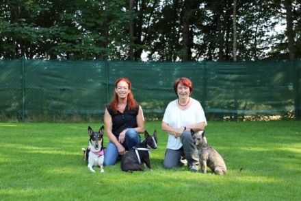 Schulhundeausbildung 2023/2024