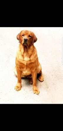 Vom Reichartshäuser Hof