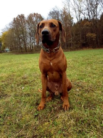 Guardian Miracle KENO