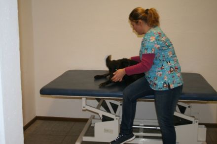 Hundetherapie Amsberg