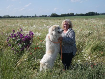 du domaine de Blanche-Neige