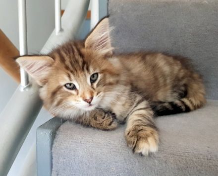 von Moenus in Würzburg, Bayern