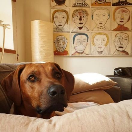 DAYO-Chinedu van Shamakani