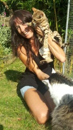 Freunde für`s Leben: Tierverhaltenstherapie und Beratung für Katzen