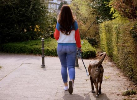 Hundetraining Mainz-Bingen