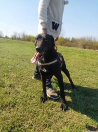 CLEOPÁTRA  - 55 cm - TRÄUMT VOM GROSSEN GLÜCK! ( aus