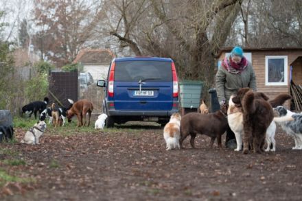 Hundewelt Fürth Sabine Meyer