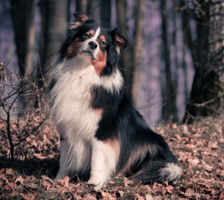 Everlasting Love of Stork Highlands