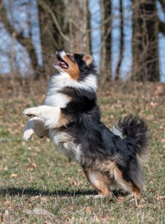 Everlasting Love of Stork Highlands