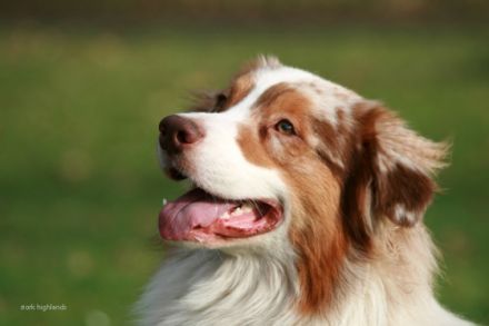 Best Next Secret of Stork Highlands