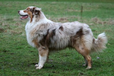 Best Next Secret of Stork Highlands