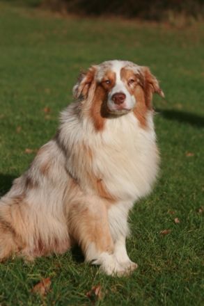 Best Next Secret of Stork Highlands