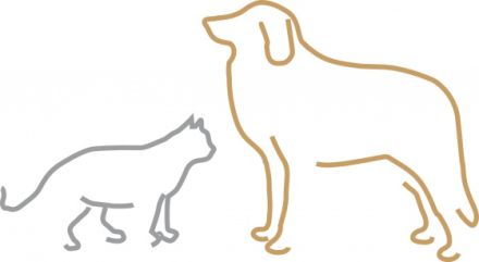 Tierarztpraxis Freund