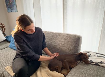 mobile Tierphysiotherapie & Osteopathie Michelle Hoffmann Geestland I Bremerhaven I Cuxhaven