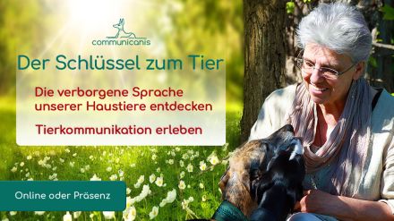 ONLINE Tierkommunikation Basisseminar. 17.09.24