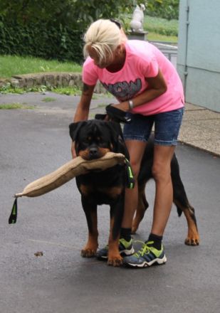 MENTOR VOM ALPENLAND