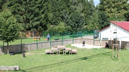 Hundezentrum Schwaben